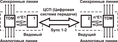 Структура сети PDH